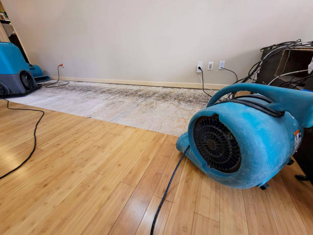 Professional Basement Flood Cleanup technician working in Mount Hope, OH